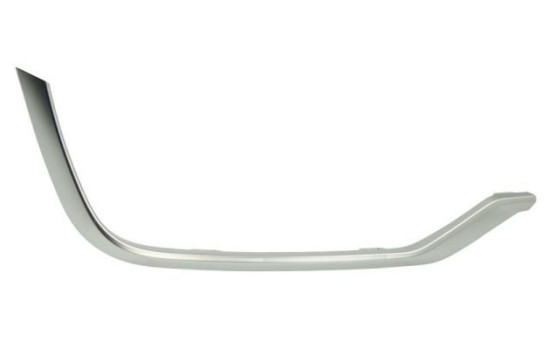 Decorative/protection panel, bumper