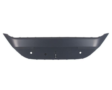 Decorative/protection panel, bumper