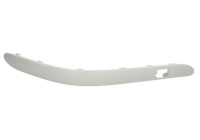 Decorative/protection panel, bumper