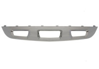 Decorative/protection panel, bumper