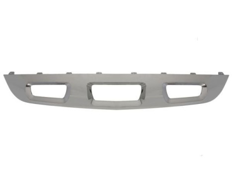 Decorative/protection panel, bumper