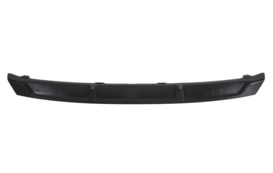 Decorative/protection panel, bumper