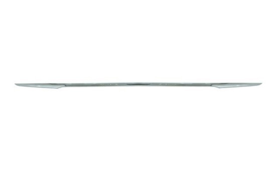 Decorative/protection panel, bumper