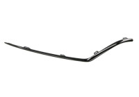 Decorative/protection panel, bumper