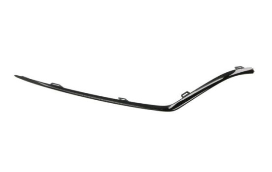 Decorative/protection panel, bumper