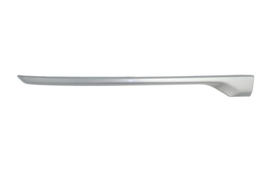 Decorative/protection panel, bumper