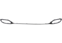 Decorative/protection panel, bumper