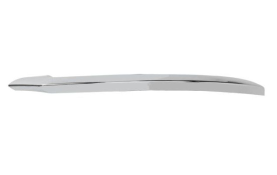 Decorative/protection panel, bumper