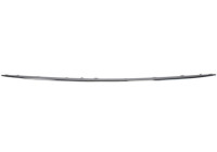 Decorative/protection panel, bumper