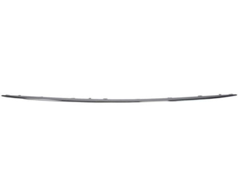 Decorative/protection panel, bumper