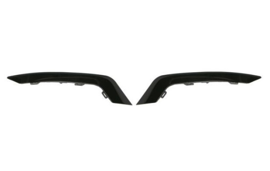 Decorative/protection panel, bumper