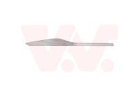 Decorative / protection panel, door