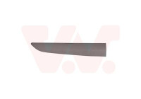 Decorative/protection panel, door