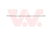 Decorative/protection panel, door