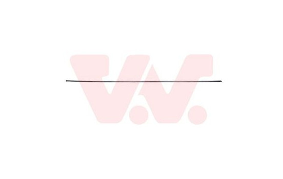 Decorative/protection panel, door