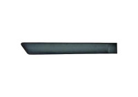 Decorative/protection panel, door