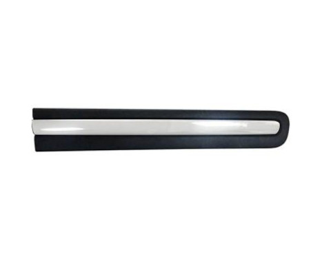 Decorative/protection panel, door