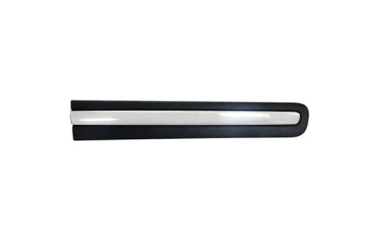 Decorative/protection panel, door