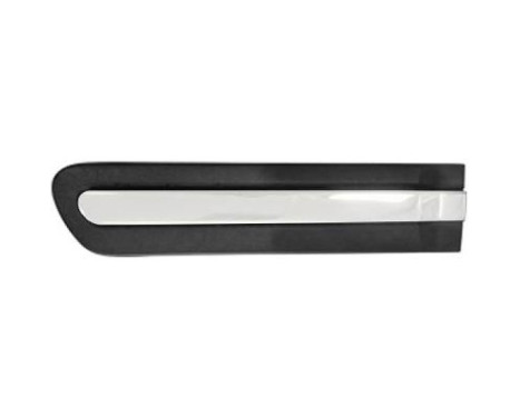 Decorative/protection panel, door