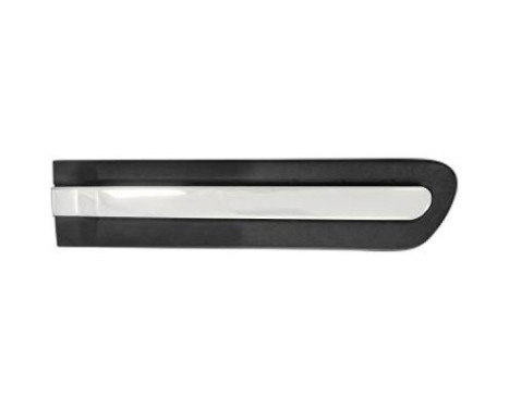 Decorative/protection panel, door