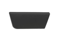 Decorative/protection panel, door