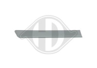 Decorative/protection panel, door