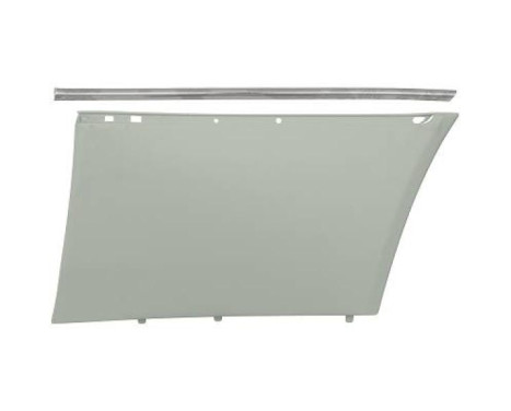 Decorative/protection panel, mudguard