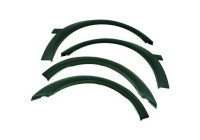 Decorative/protection panel, mudguard