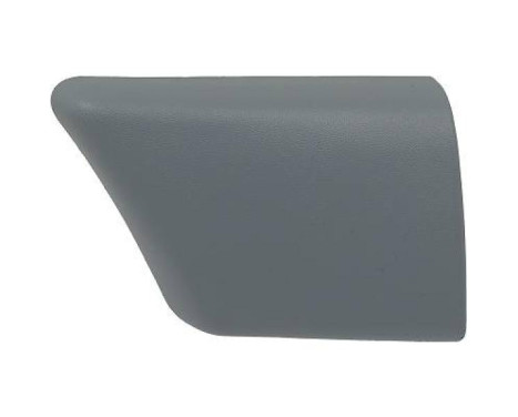 Decorative/protection panel, mudguard