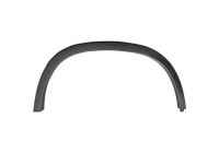 Decorative/protection panel, mudguard