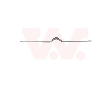 Decorative / Protection panel, radiator grille