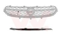 Decorative / Protection panel, radiator grille