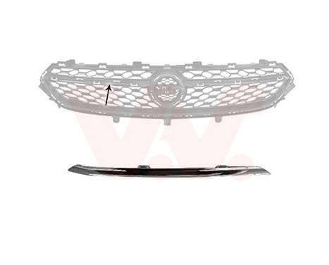 Decorative / Protection panel, radiator grille