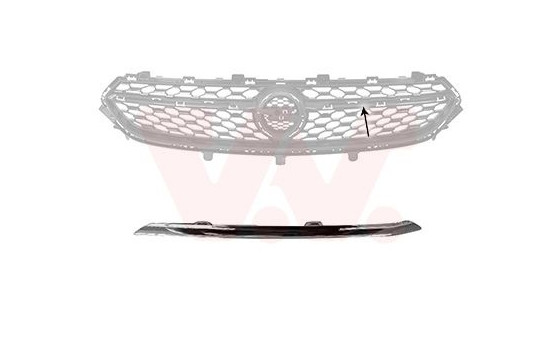 Decorative / Protection panel, radiator grille