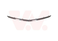 Decorative / Protection panel, radiator grille