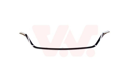 Decorative / Protection panel, radiator grille