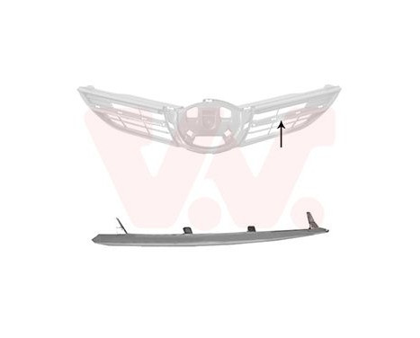 Decorative / Protection panel, radiator grille