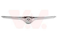 Decorative / Protection panel, radiator grille