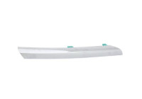 Decorative / Protection panel, radiator grille
