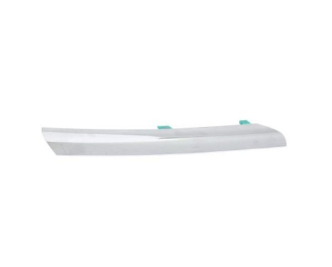 Decorative / Protection panel, radiator grille
