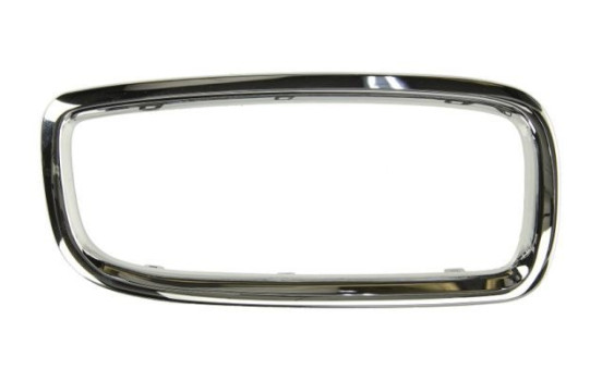 Decorative / Protection panel, radiator grille