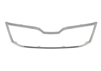 Decorative / Protection panel, radiator grille