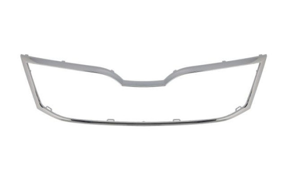 Decorative / Protection panel, radiator grille