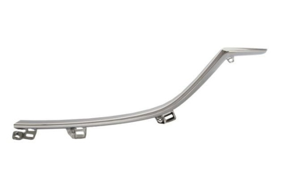 Decorative / Protection panel, radiator grille