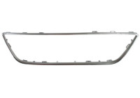 Decorative / Protection panel, radiator grille