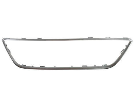 Decorative / Protection panel, radiator grille