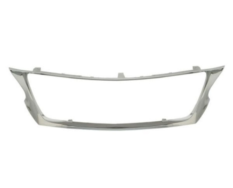 Decorative / Protection panel, radiator grille