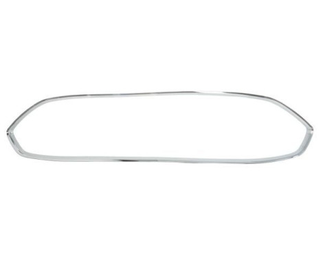 Decorative / Protection panel, radiator grille