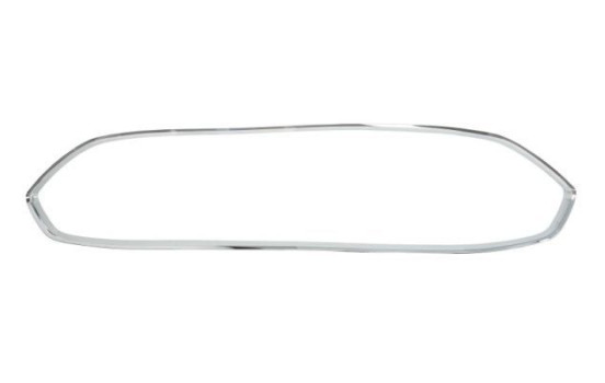 Decorative / Protection panel, radiator grille