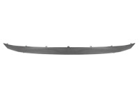 Decorative / Protection panel, radiator grille